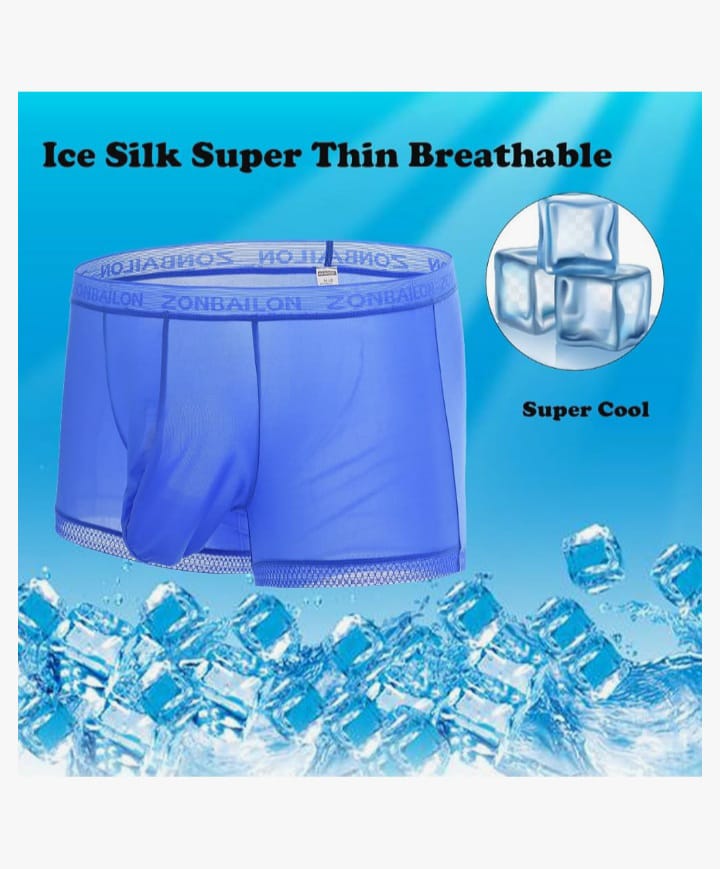Men's Breathable Ice Silk Men's Boxer Briefs See-Through Underwear Trunk Transparent Stretch